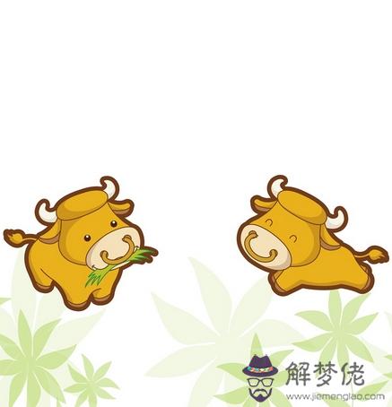 丑時是什麽生肖十二生肖中的丑時是什麽時候 第1张