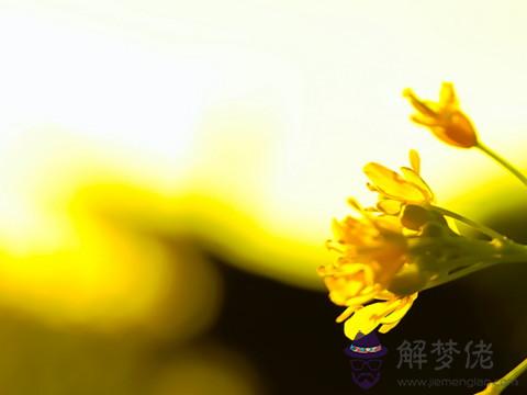 八字看正緣桃花 第1张