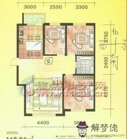 石榴木命解析 第1张