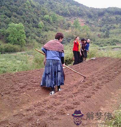 辛酉日生人分析 第1张