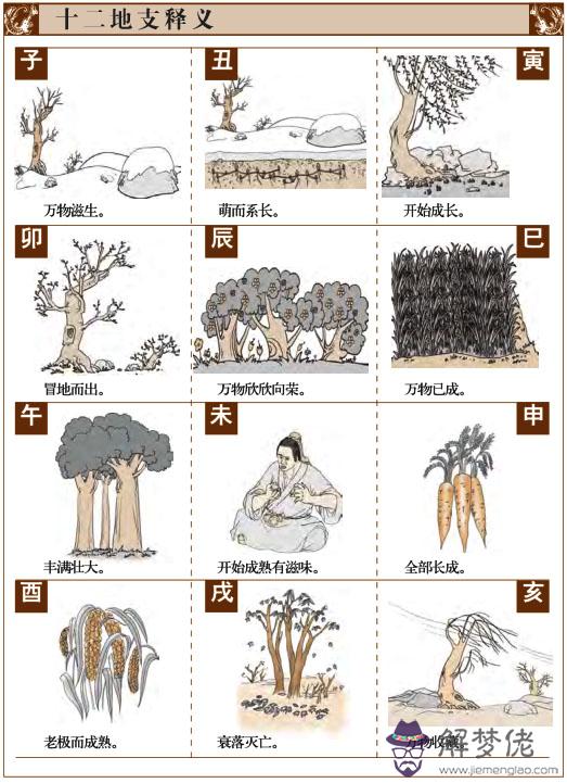 什麽是十二地支，十二地支的含義是什麽 第1张