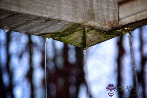 發夢夢到屋里漏雨是什麼意思