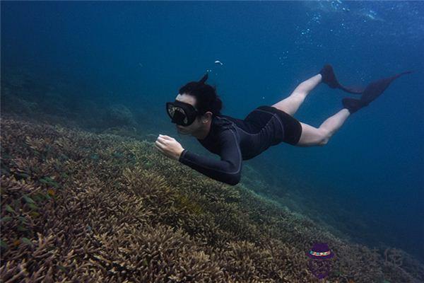 發夢夢到潛水是什麼意思