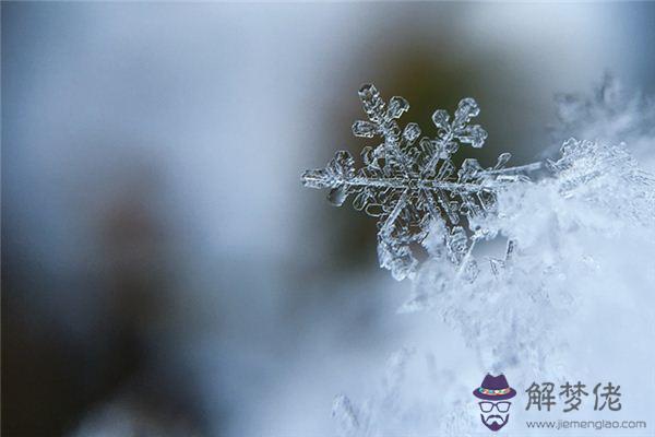 發夢夢到露成霜雪是什麼意思