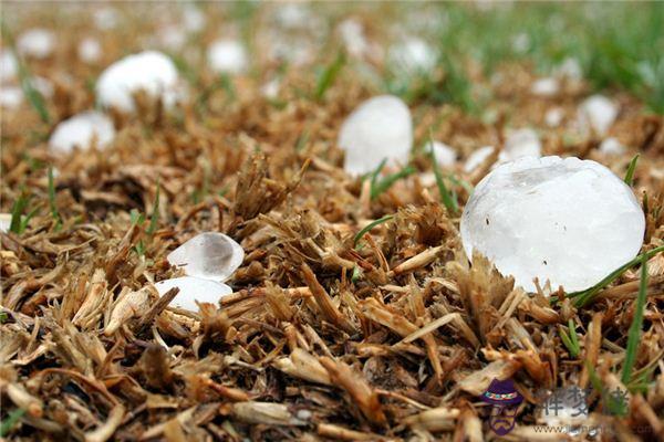 發夢夢到冰雹是什麼意思