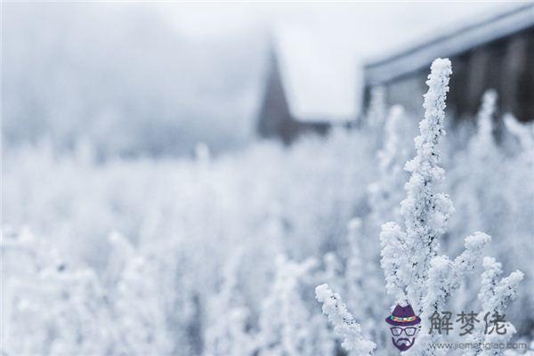 發夢夢到冰雪是什麼意思