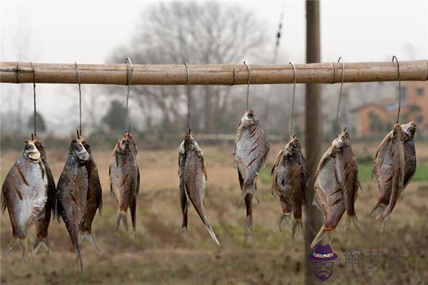 發夢夢到咸魚是什麼意思