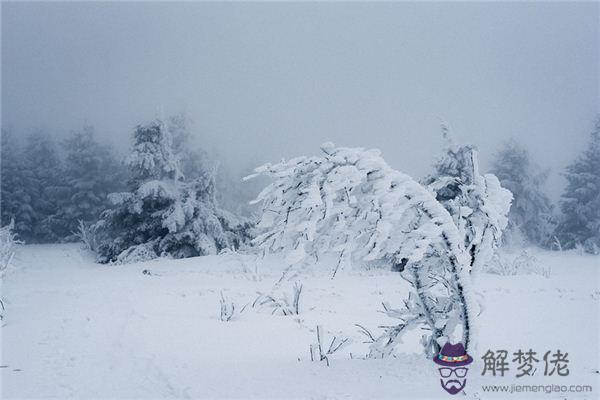 發夢夢到暴風雪是什麼意思