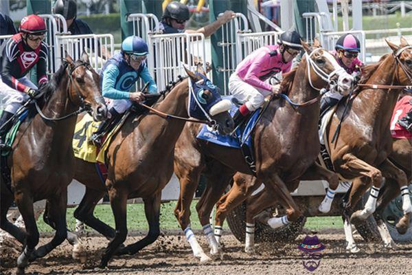 發夢夢到賽馬選手是什麼意思