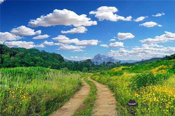 發夢夢到鄉間小路是什麼意思