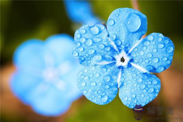 發夢夢到雨停了是什麼意思