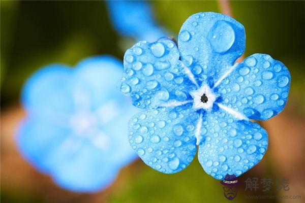 發夢夢到春天細雨是什麼意思