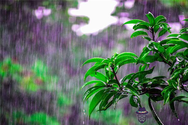 發夢夢到雨水是什麼意思