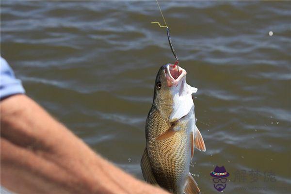 發夢夢到釣魚鉤是什麼意思