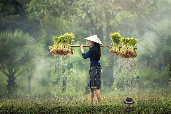 發夢夢到勤勞是什麼意思