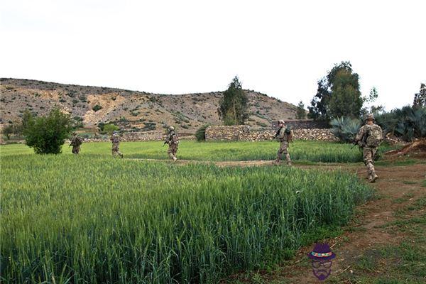 發夢夢到逃兵是什麼意思