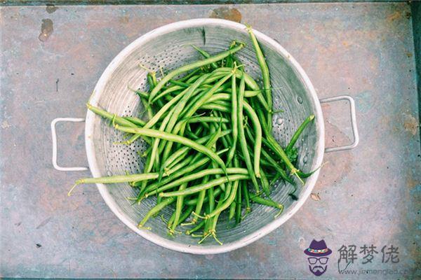 發夢夢到豆角是什麼意思