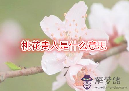 桃花貴人是什么意思