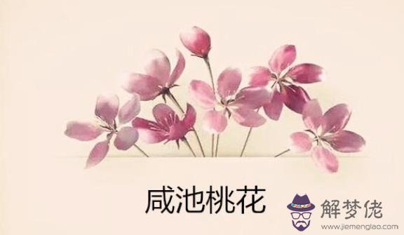 命帶咸池桃花的男人好不好.jpg