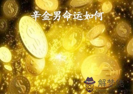 辛金男的命運如何.jpg