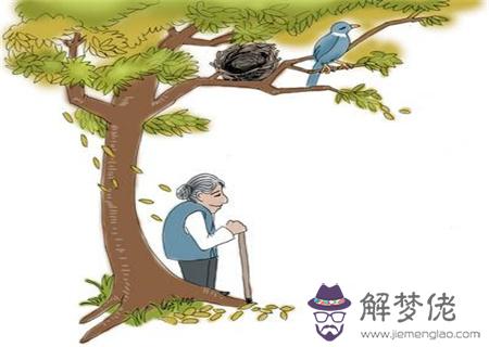 晚年凄涼的八字特征