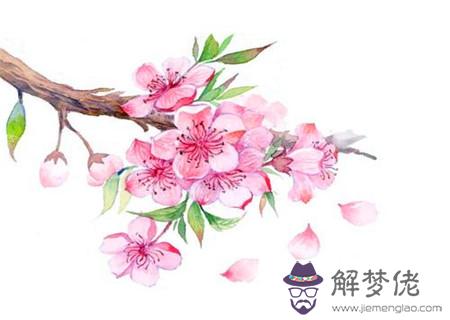 易招爛桃花的女命八字