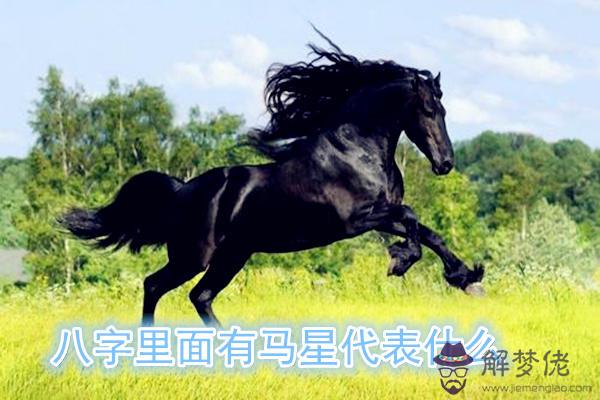 八字里面有馬星代表什么