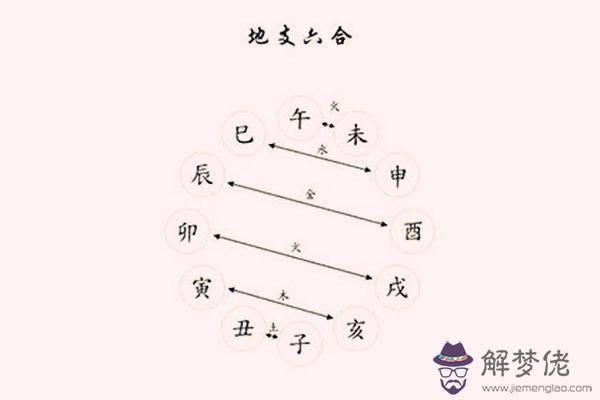 八字地支相合的命理