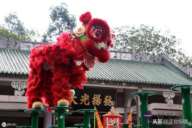 獅子座-性格分析，獅子女性格超準分析