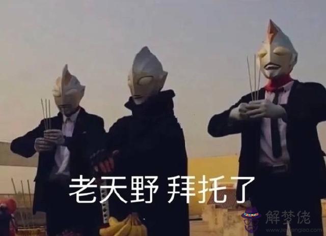 星譯社小組豆瓣佩妮，星譯社 星星的我們