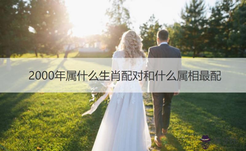 1、龍先生的婚配生肖屬相:屬龍的和什麼屬相最配？