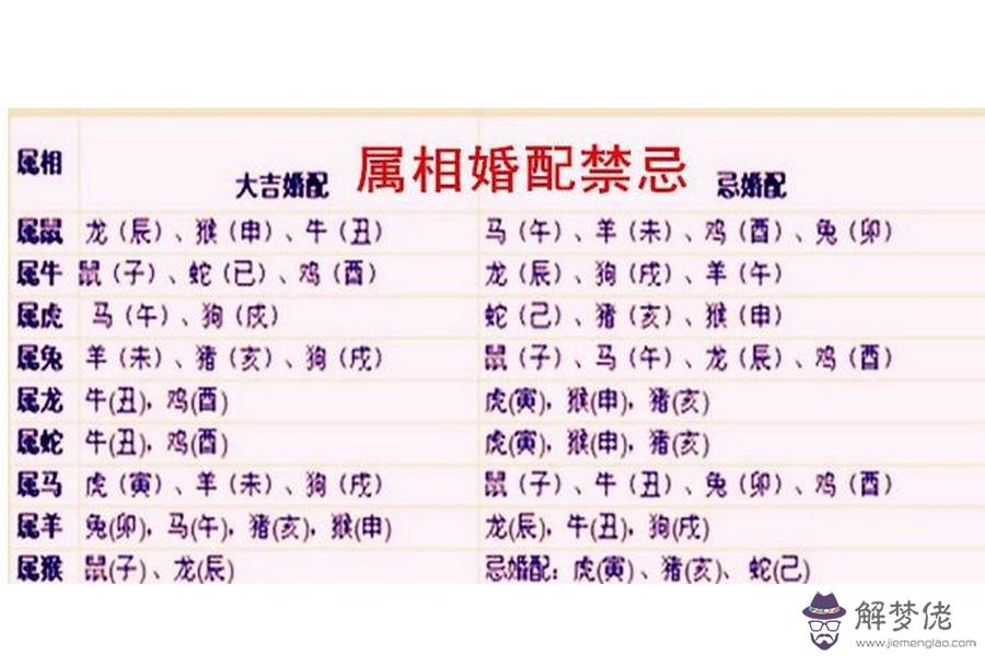 3、94年男屬狗婚配情況:93年屬雞男與94年屬狗女婚配嗎