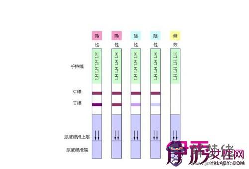 早孕試紙什麼時候測準：試紙一般什麼時候測最準確