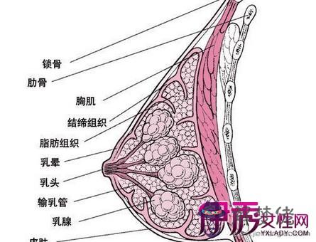 懷男孩女孩有什麼不同：看的顏色就能知道生男生女嗎?