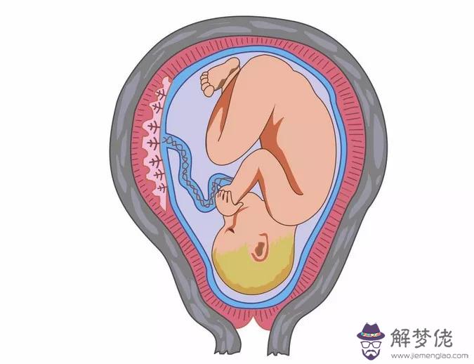 孕婦用一根筷子測男女打掉算嗎：筷子測男女為什麼會動來動去