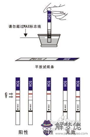 早早孕試紙一般多久可以測出懷孕：懷孕多久才能查出來？