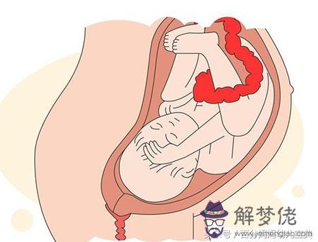 懷孕四個月平躺小腹硬：哺乳期能吃陳醋麼