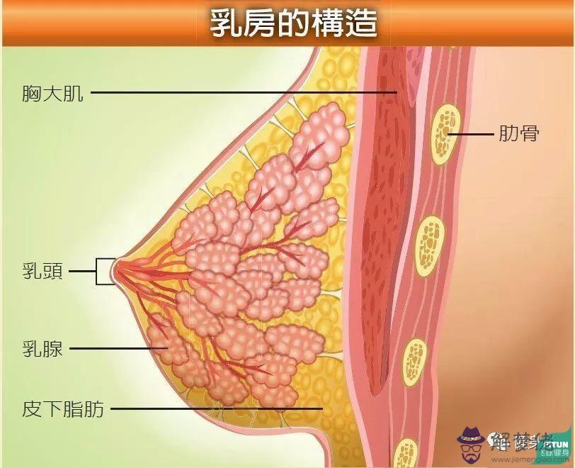 %生女兒的癥狀變大：懷男孩會變大嗎