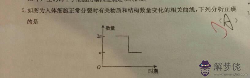 無創dna怎麼看有沒有y：無創dna結果怎麼看