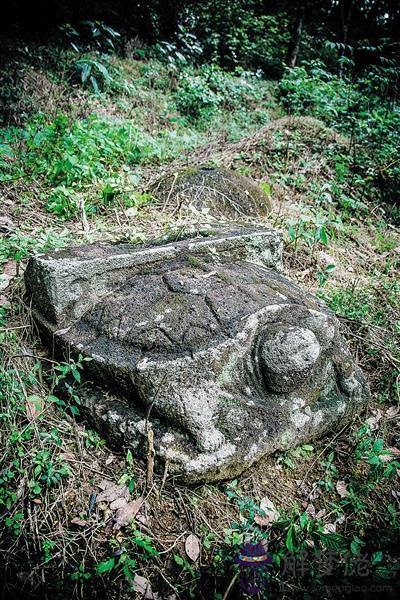 墳墓里為什麼要放石龜：為什麼古代的石碑下有很多都要墊一只石龜呢？