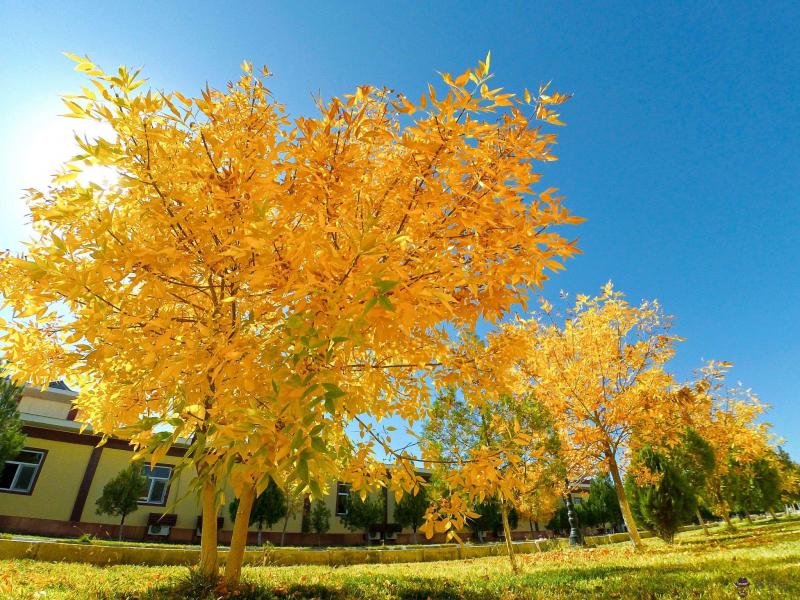 發生日紅包發多少才好 168紅包不能亂發