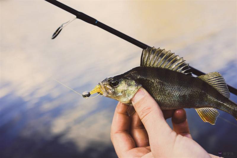 女人夢見空手捉活魚 夢見手抓魚要發財了