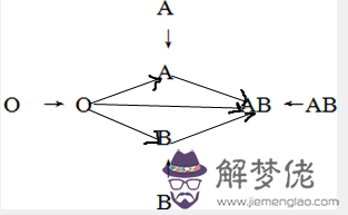 血型輸血配對表：成分輸血需要配對血型嗎？