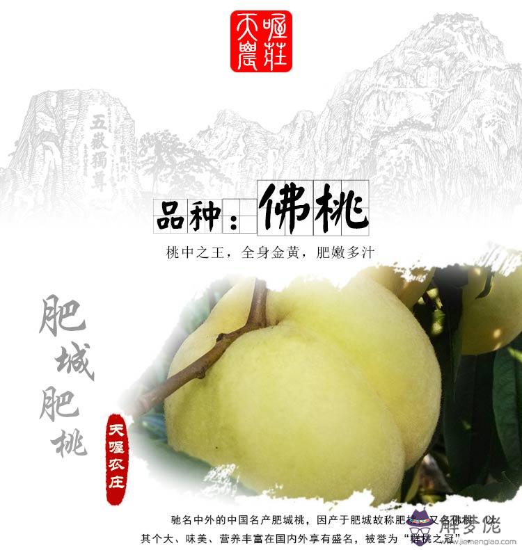 屬鼠的取什麼名字好：屬鼠的用什麼名字好