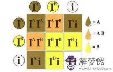 血型婚姻配對表：血型傳輸表