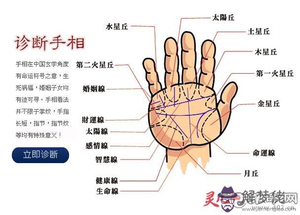 看手相算命圖解：怎麼看手相算命圖解