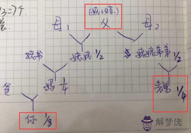 近親幾代不能結婚：近親三代不能結婚嗎