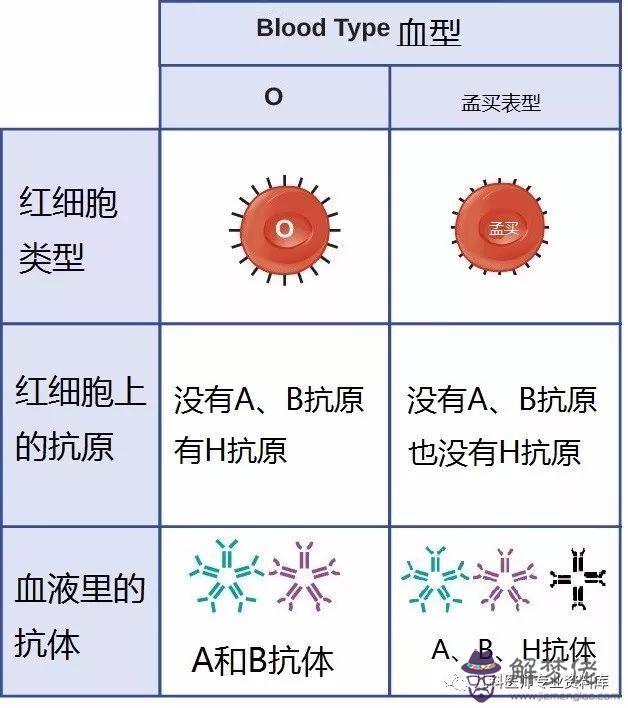 a型血和b型血生的孩子是什麼血型：A型血和b型血生下的孩子會是什麼血型?