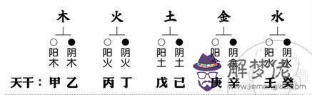 八字基礎知識入門：學八字首先要學會什麼基礎知識？