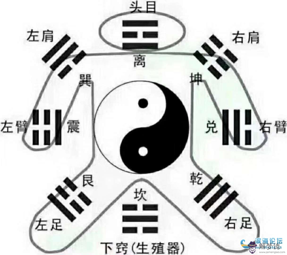 關于八字合婚---夫妻五行是看年份的金木水火，還是看各自的日主天干？